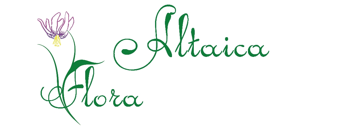 Flora Altaica